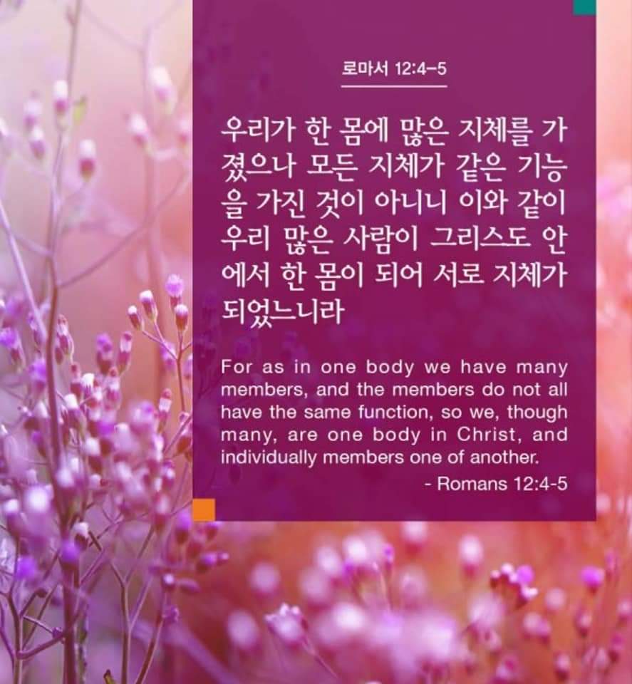 062ced533219a.jpg