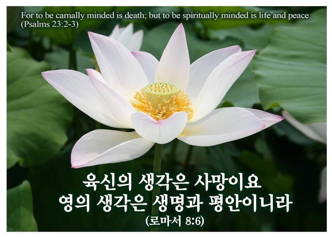 06d0f960d3cbc.jpg