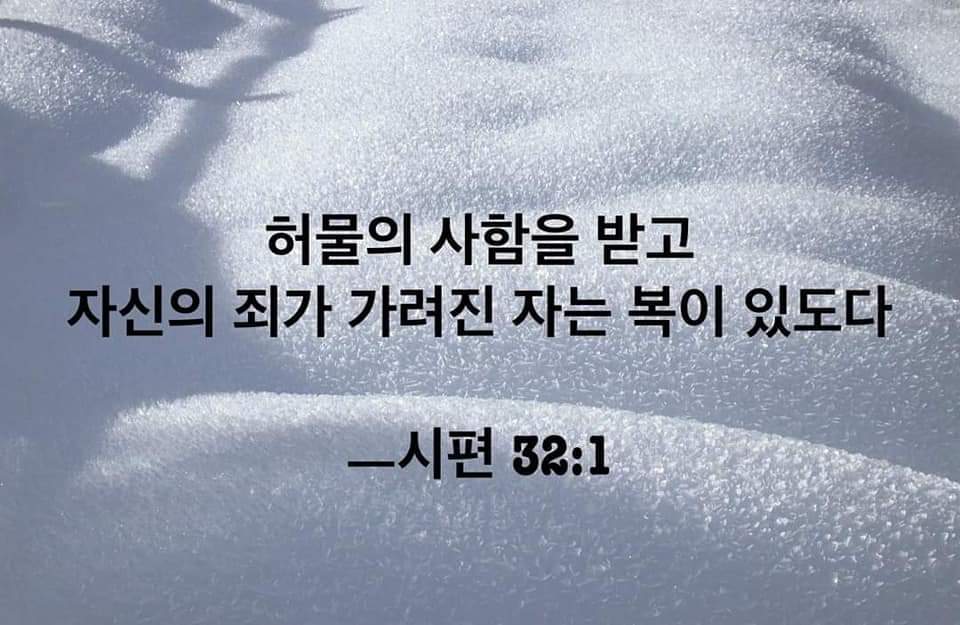 08c8a5f484ed4.jpg