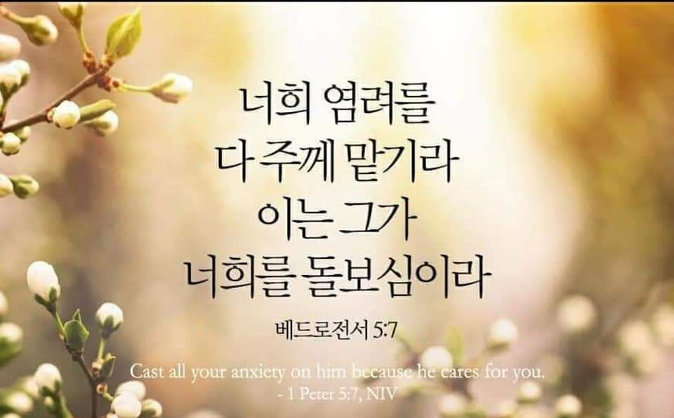 0a12ad5a9e657.jpg
