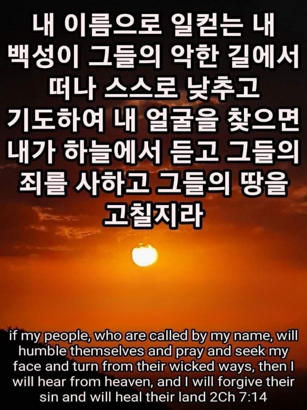 0c166e9b5d1a1.jpg