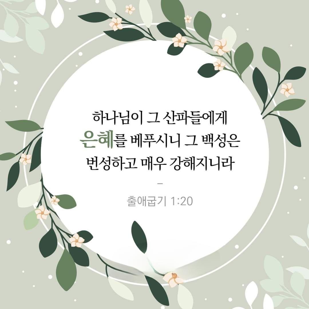 0e933b488e301.jpg