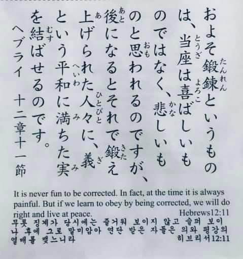 0f2d8917ac4a0.jpg