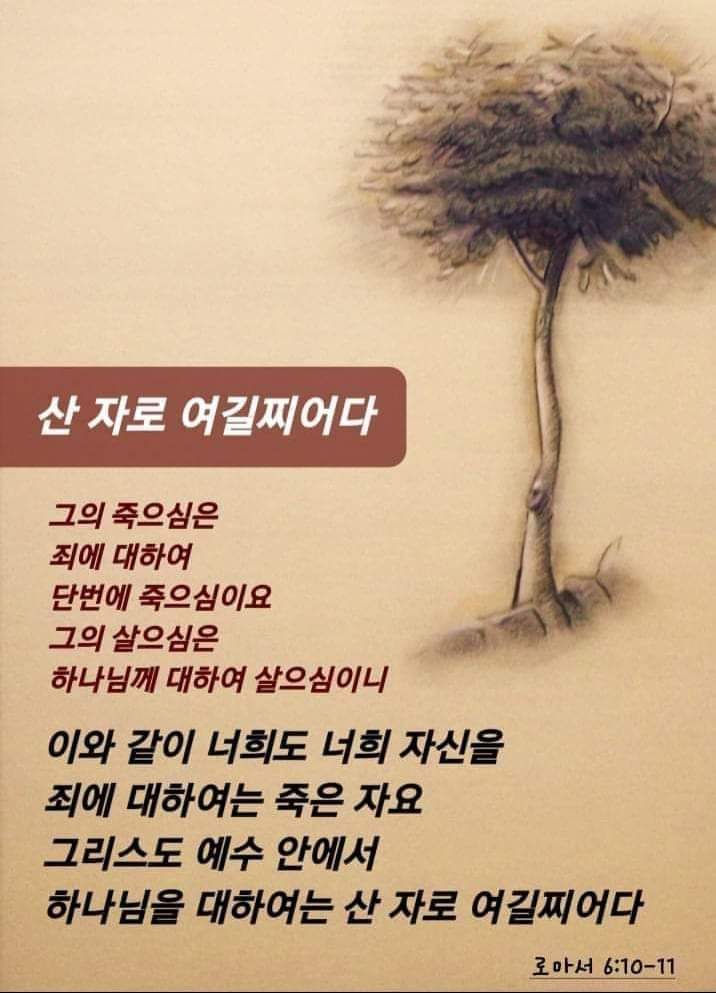 105ed8ab4b10d.jpg