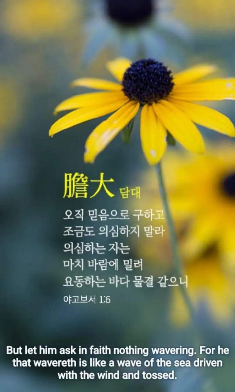 11ab47f76277d.jpg