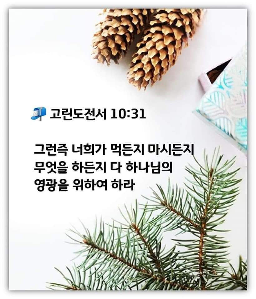 13a31569888fc.jpg