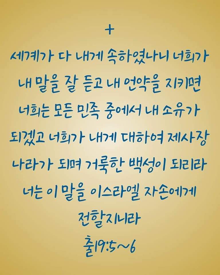 13d8338b608d8.jpg