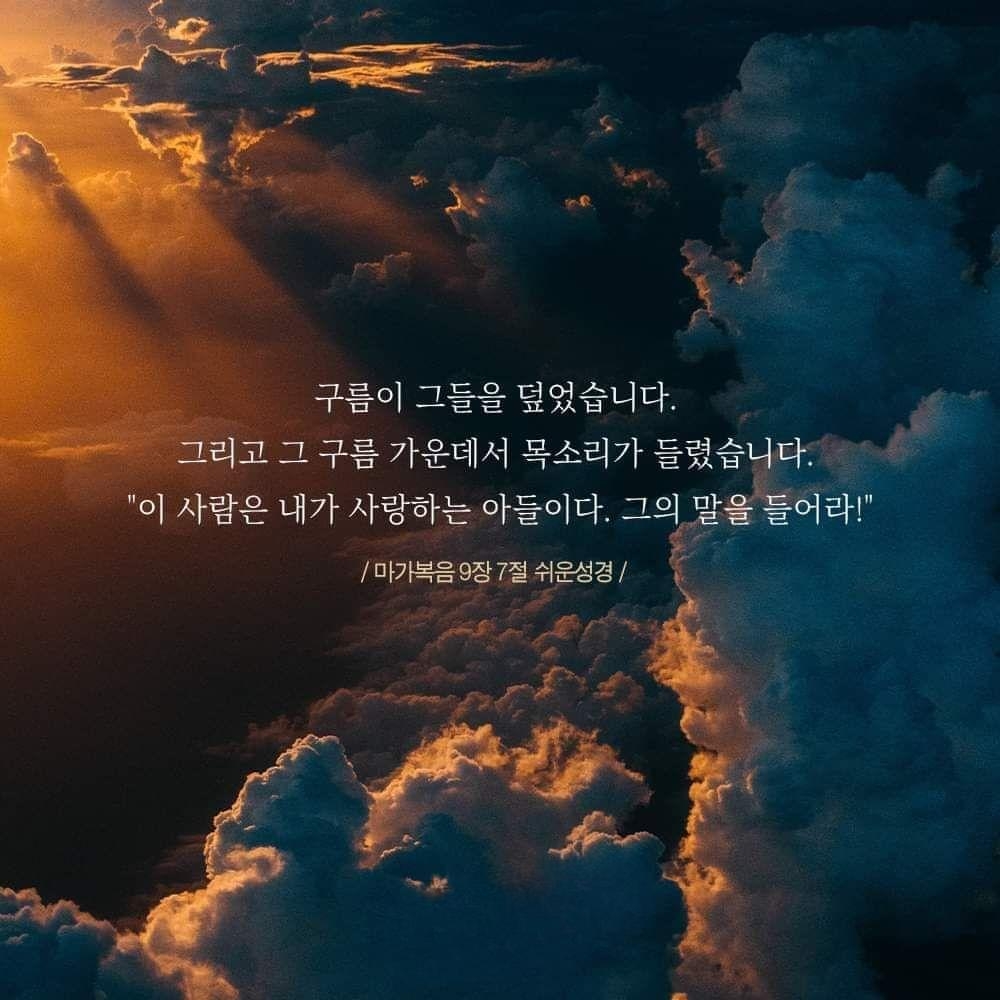 1df1b61af04ab.jpg