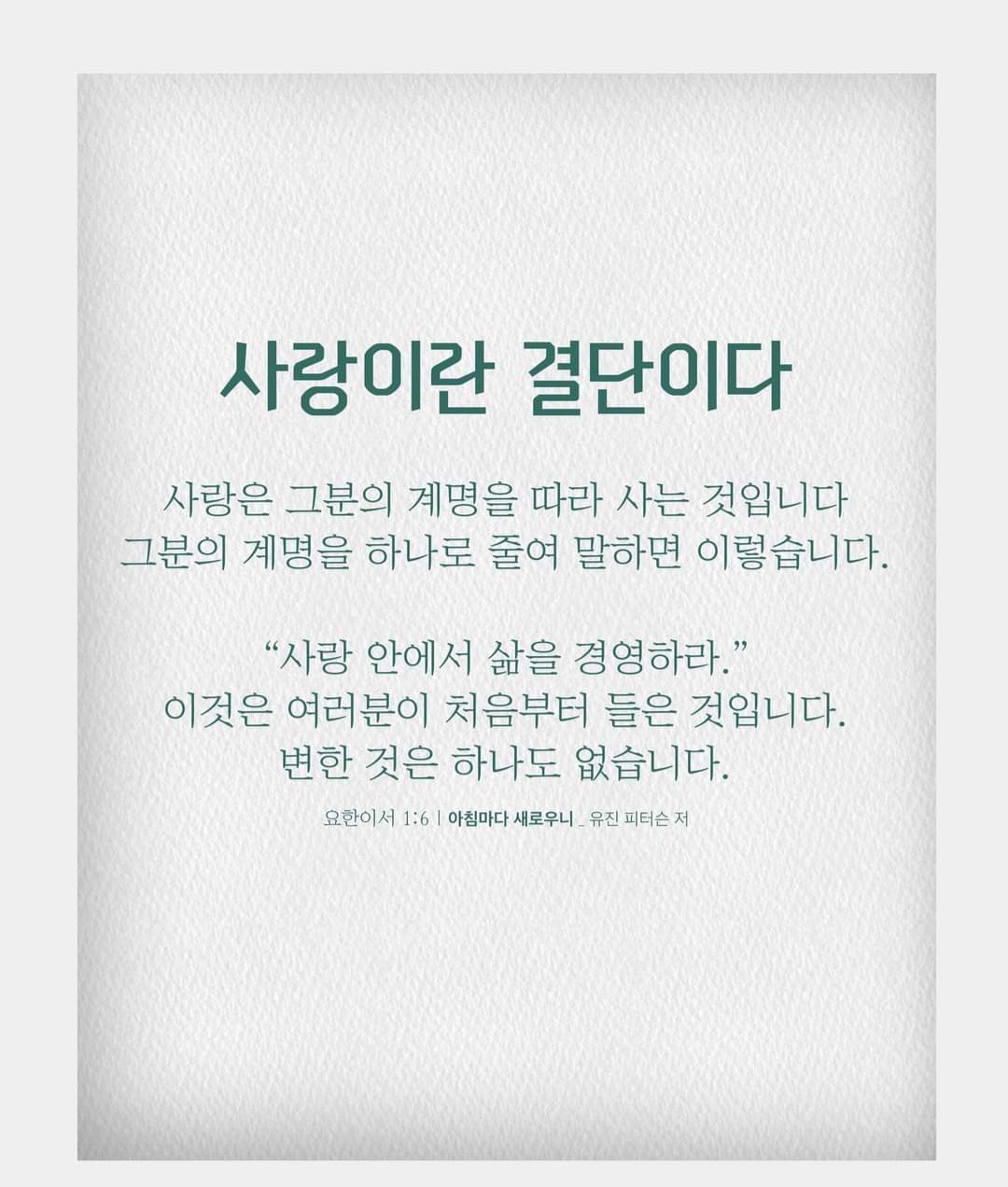 204f7b87b30d8.jpg
