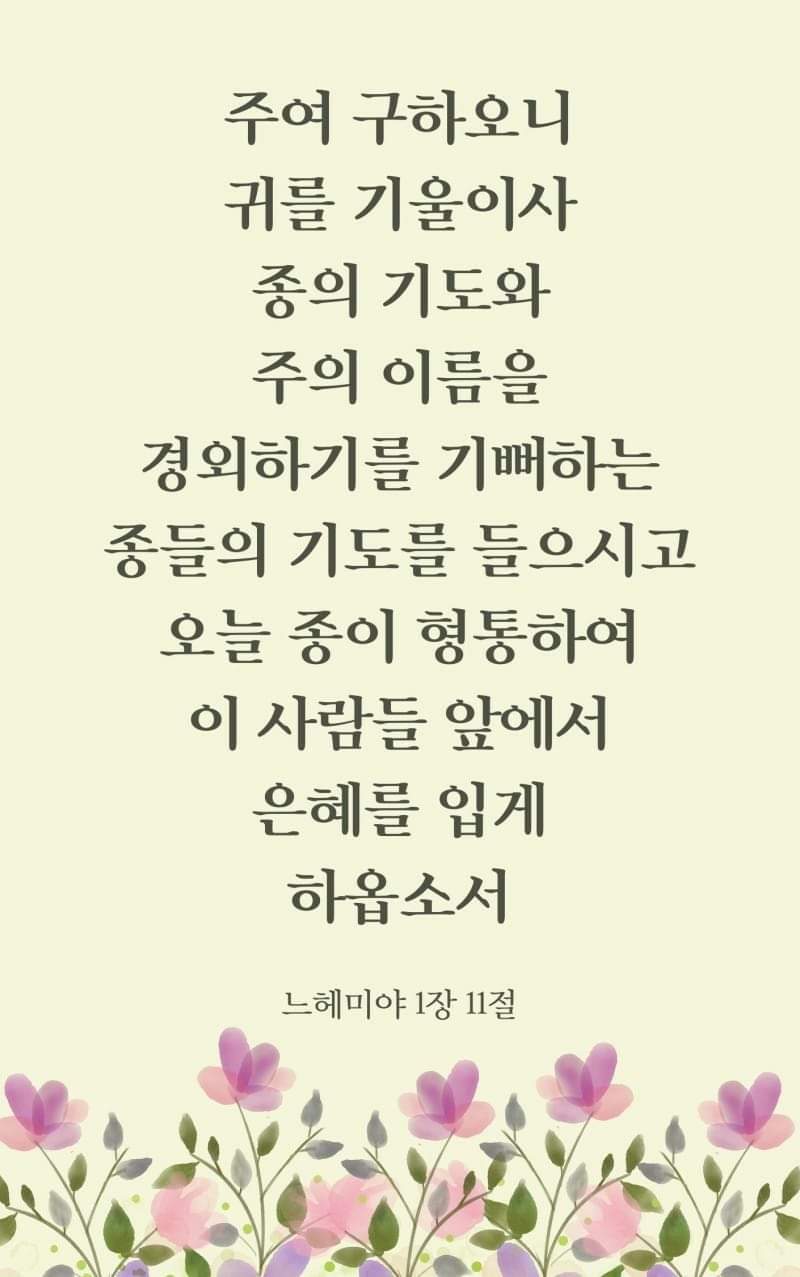 2186f6aac1e91.jpg