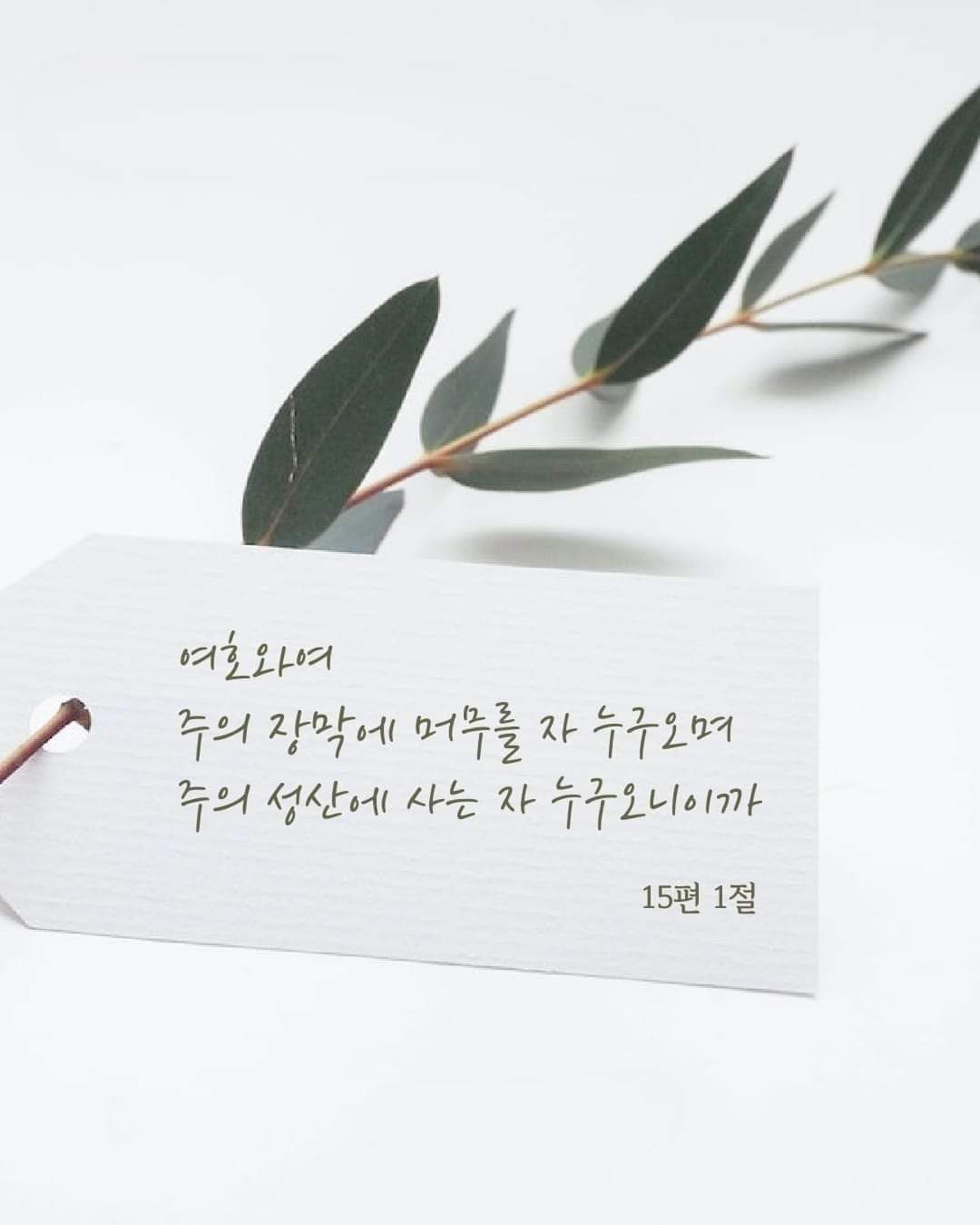 22fe53dd77a20.jpg