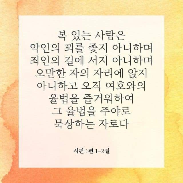 241282a329bad.jpg