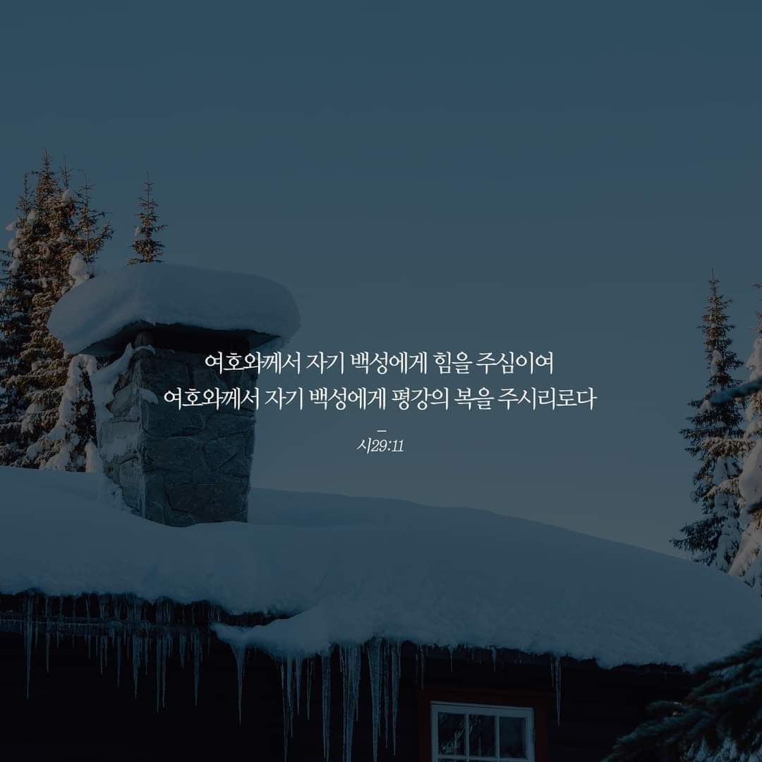 25620799226fe.jpg