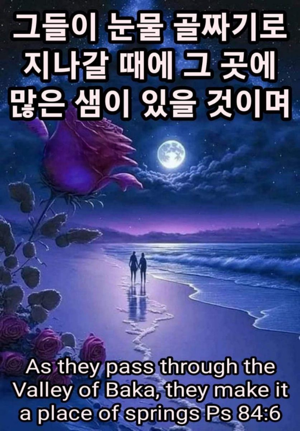 257fb99c5d63f.jpg
