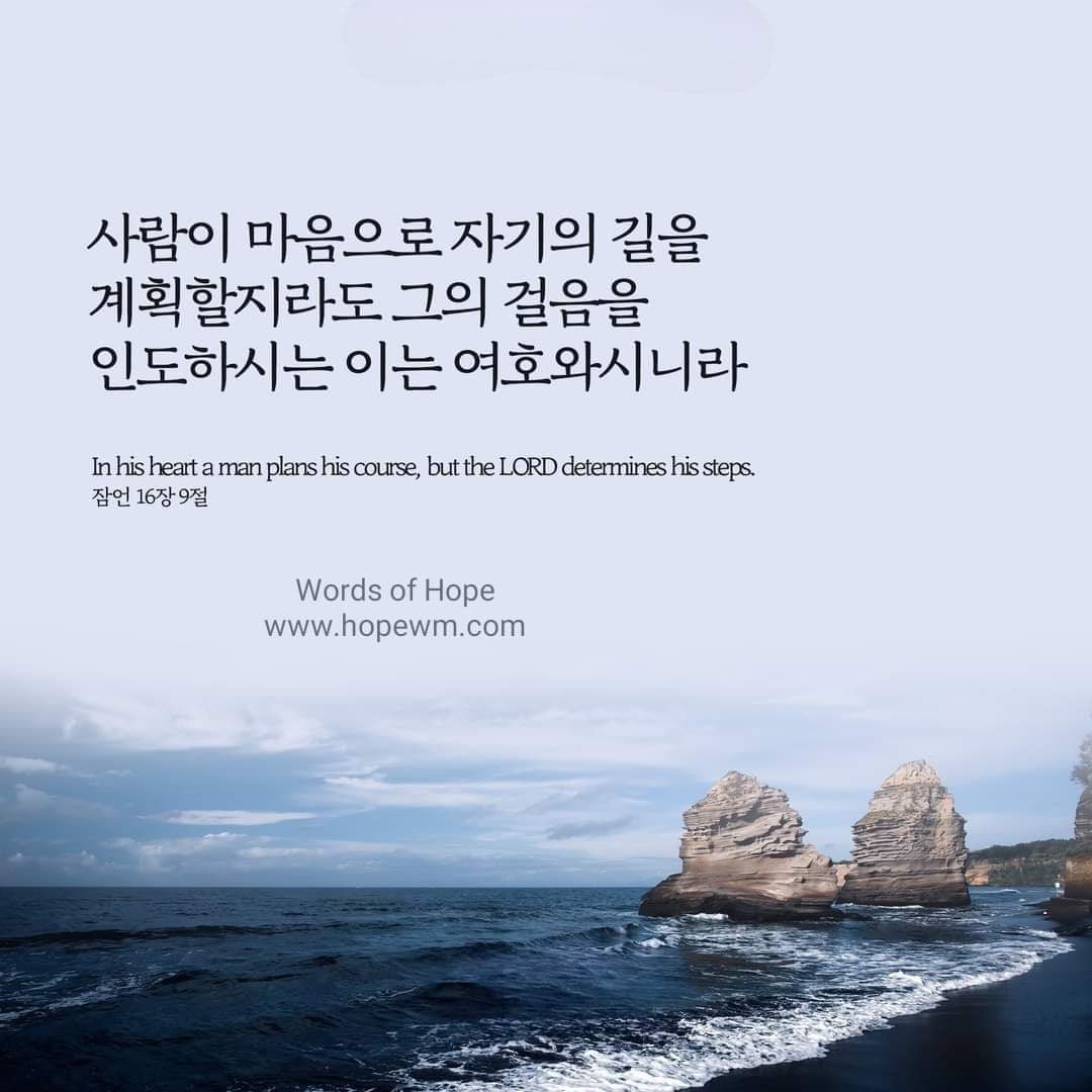 25a48f69c5e90.jpg
