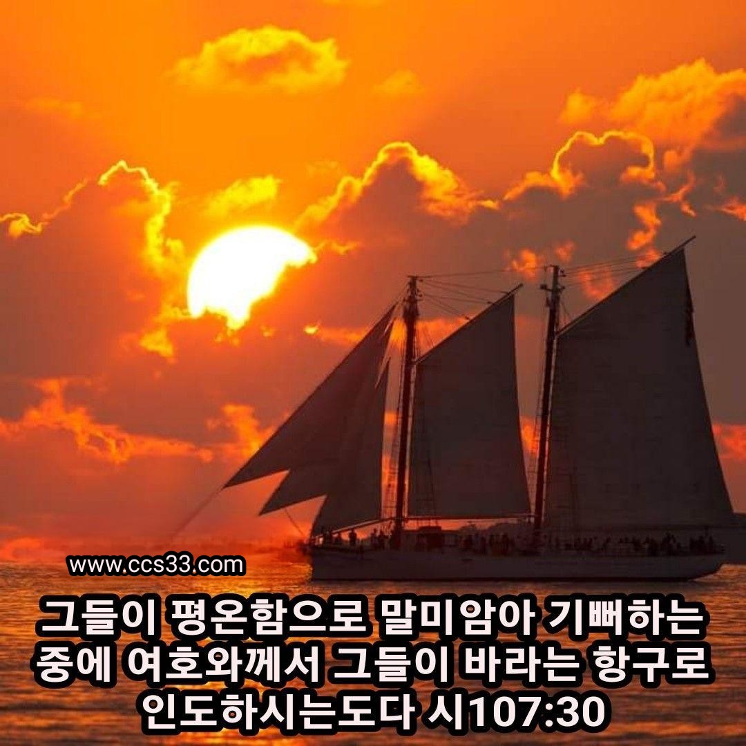 28629fe2d0cff.jpg