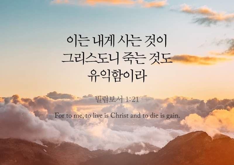 3064fb20cace6.jpg