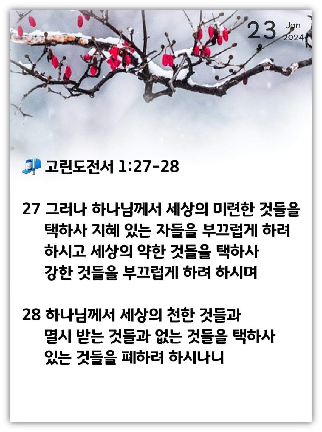 365edb9529f51.jpg
