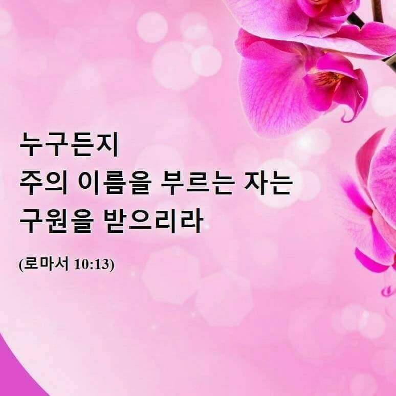 393b5038f30c7.jpg