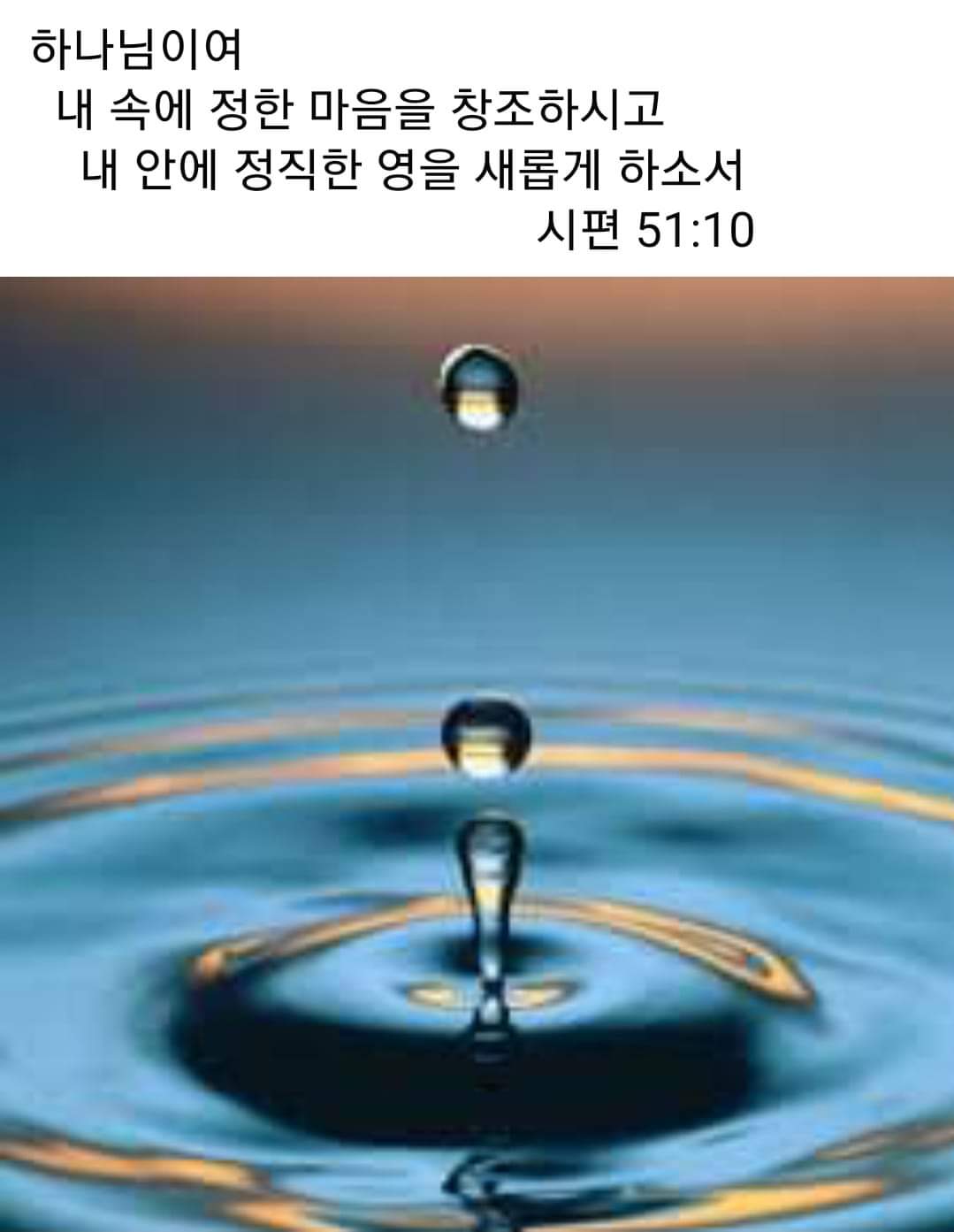 3a2766b5bf90c.jpg