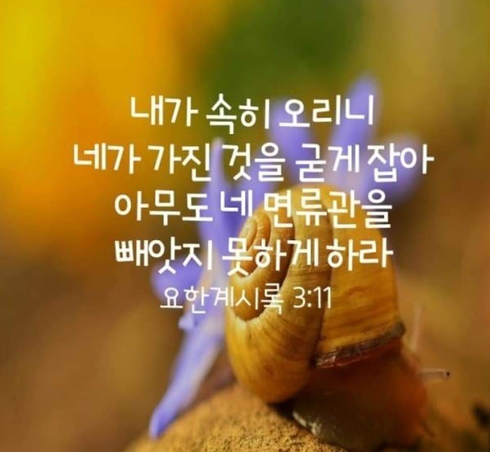 3e8c379799926.jpg