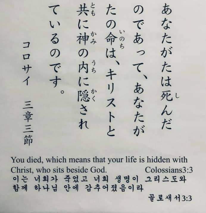 403ee85488e2f.jpg