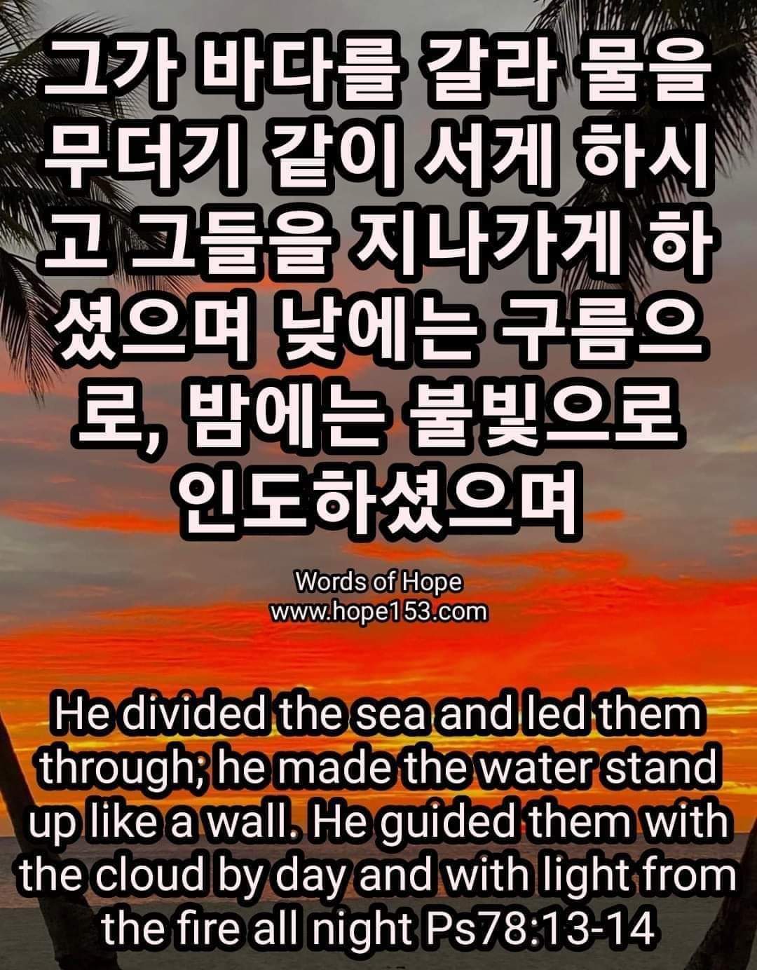 419a72ad5920e.jpg