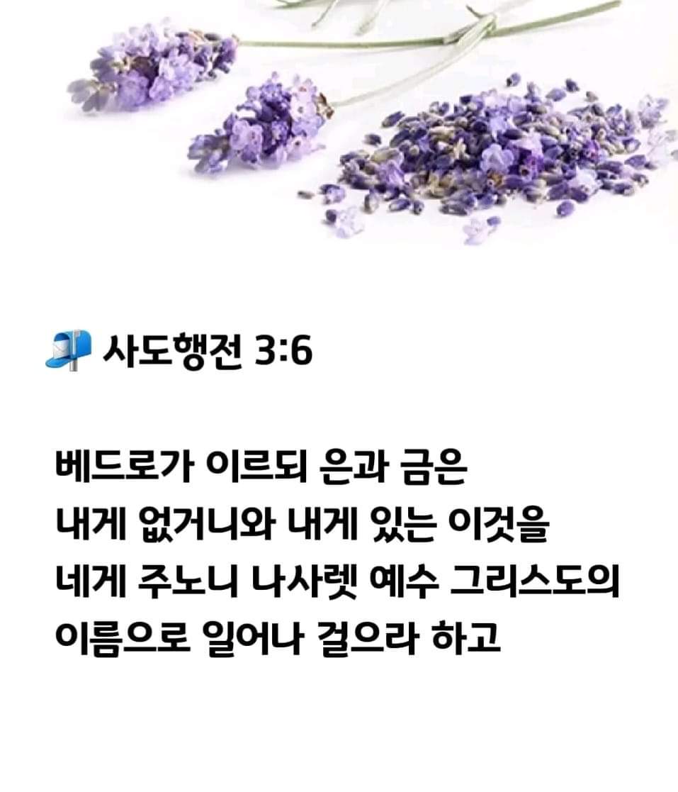 4845e38d982bc.jpg