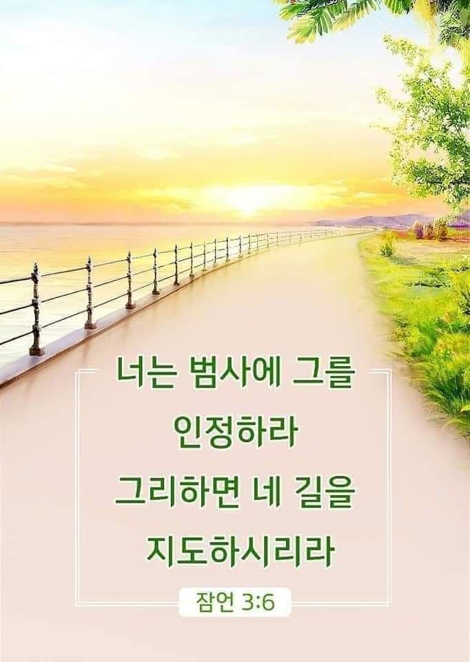 4a799cebe6bd8.jpg