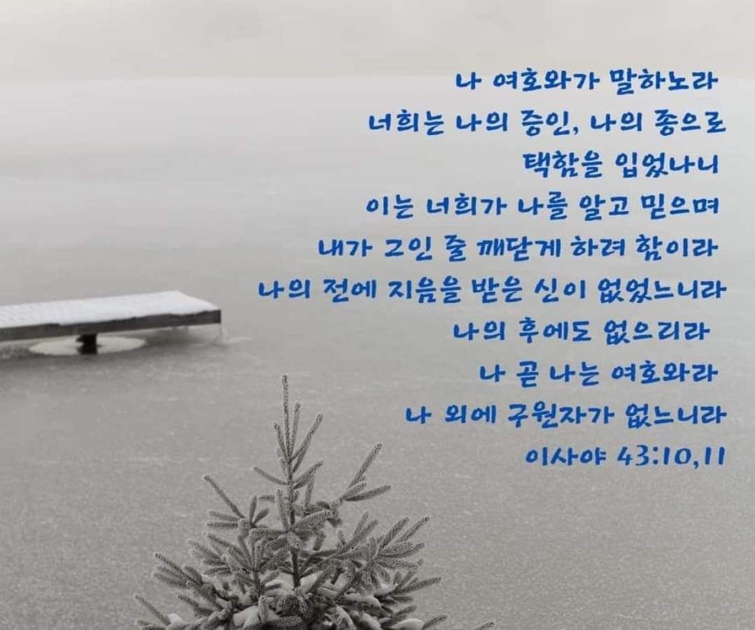 4b923bba845bb.jpg