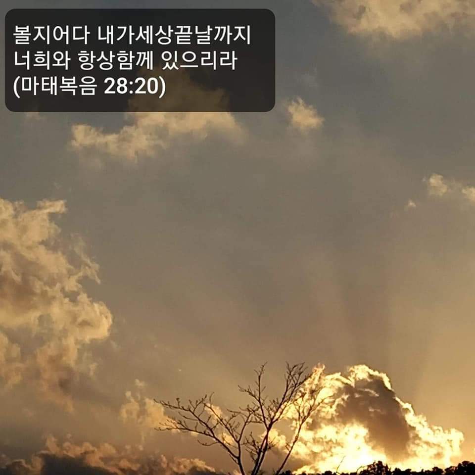 4beb7a2839421.jpg