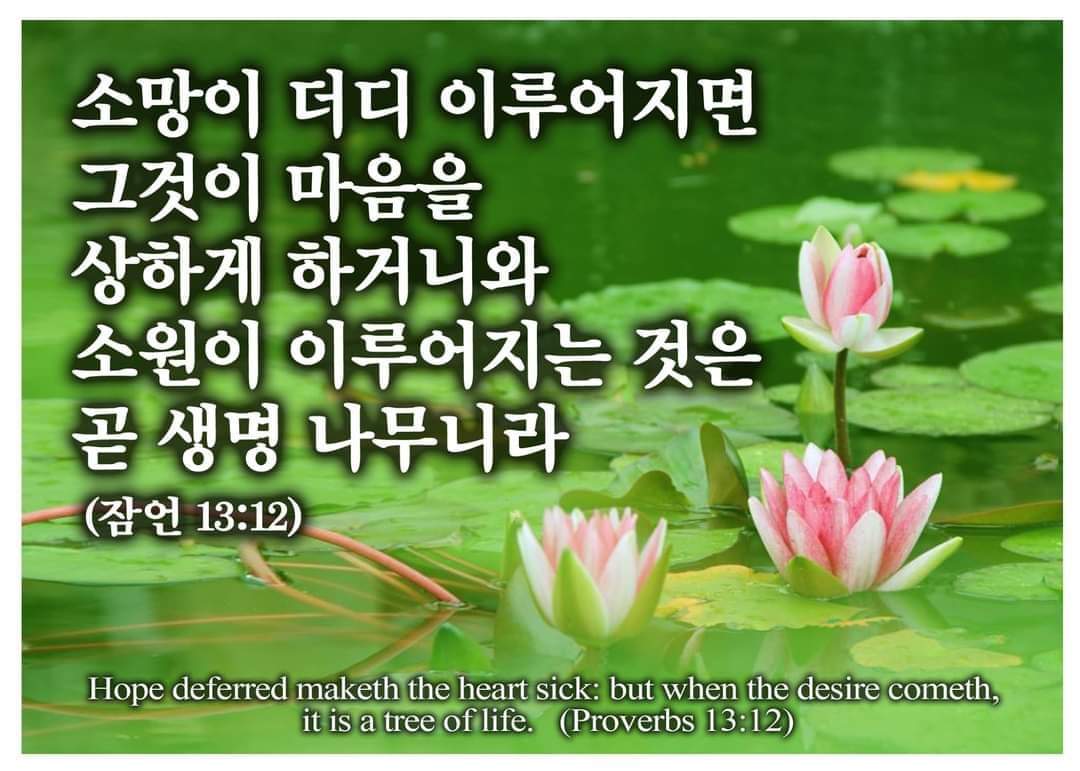 4d038aabd8d72.jpg