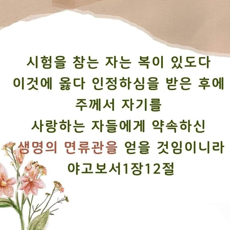 4ea45866eb07a.jpg