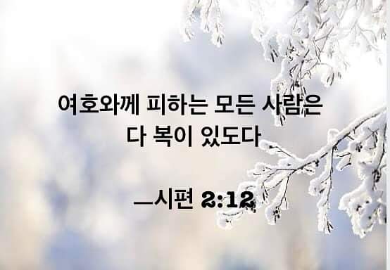 52505f6a83947.jpg