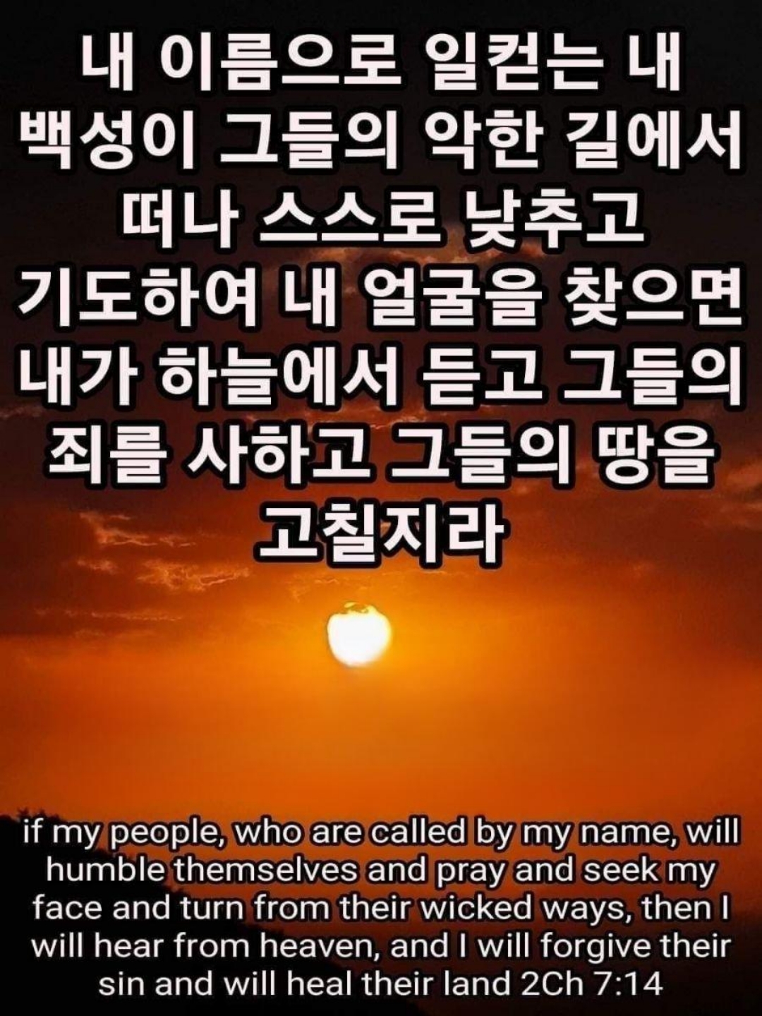 53840509f2756.jpg