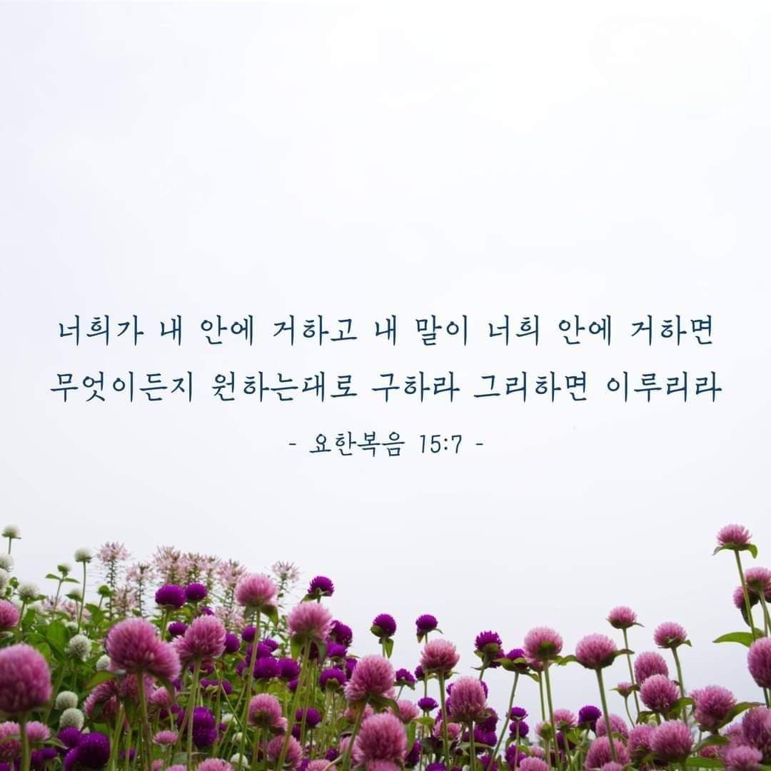 55084fa2be67e.jpg
