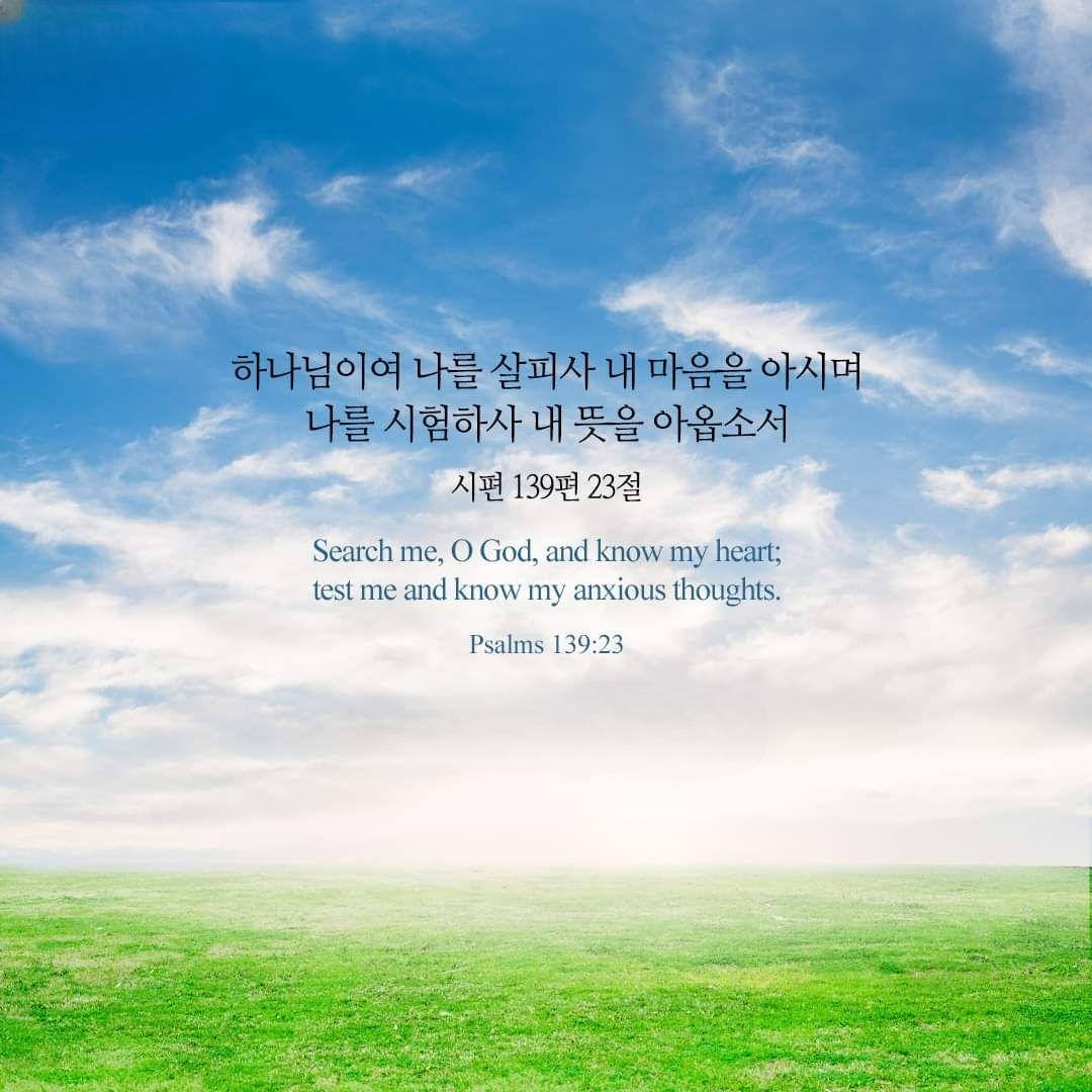 5ae54fb72ac35.jpg