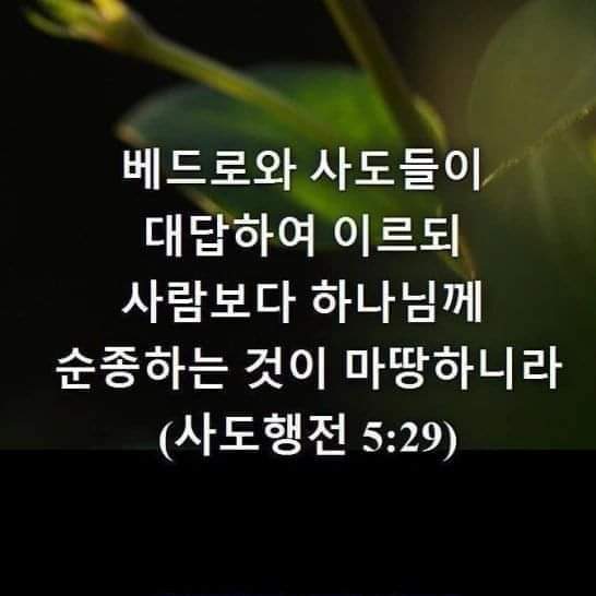5bd72ddc356eb.jpg