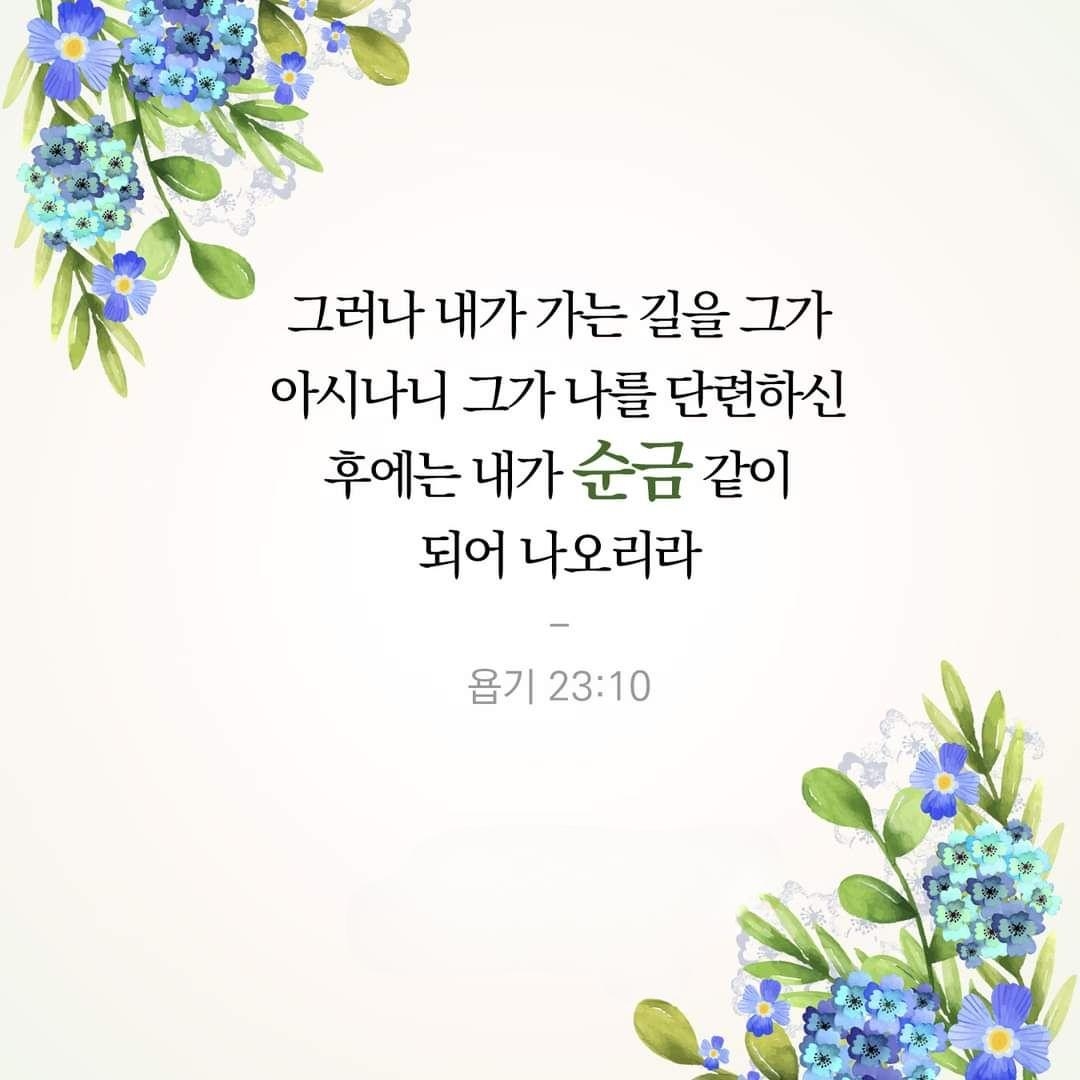 5d74aae943f19.jpg