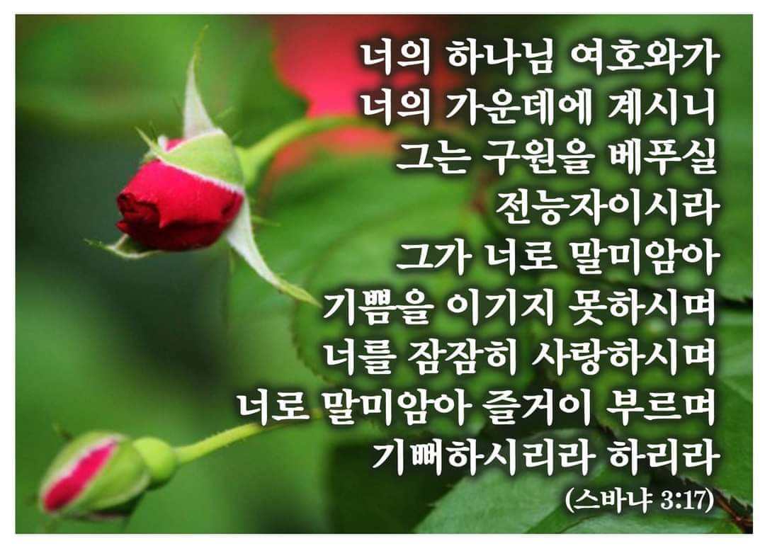 5e00455b319d0.jpg