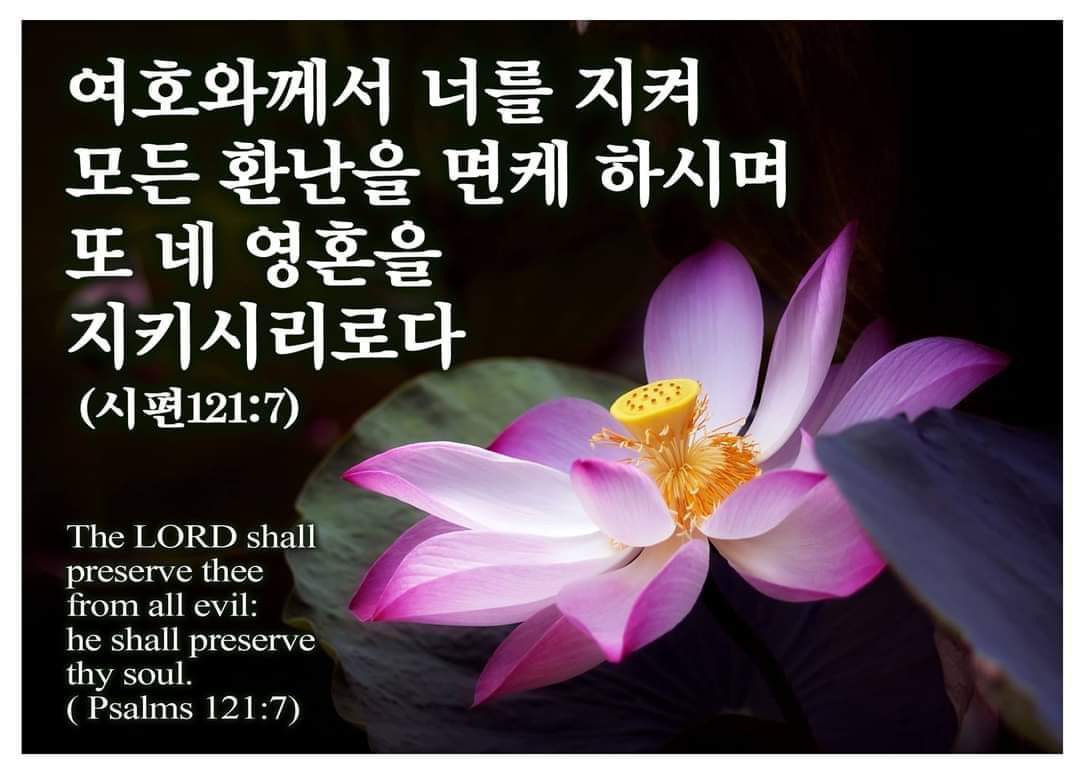 666cced718f1d.jpg