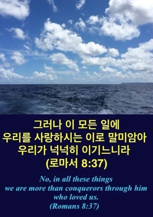 681eedabc2449.jpg