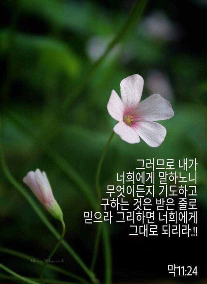 68ba537c1b9aa.jpg