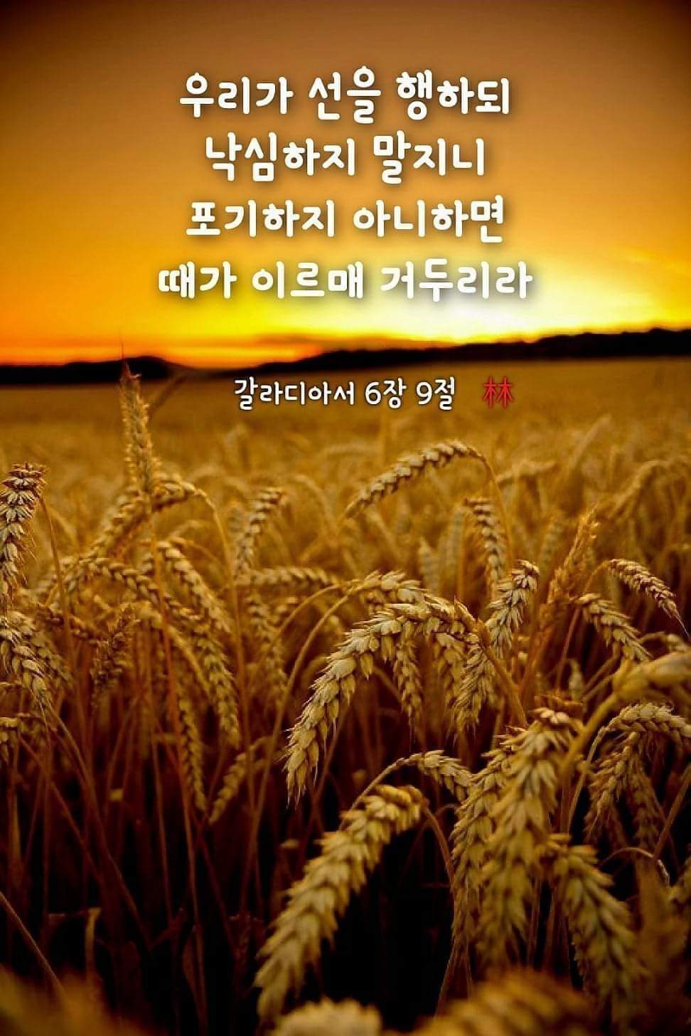 68feabeca5584.jpg