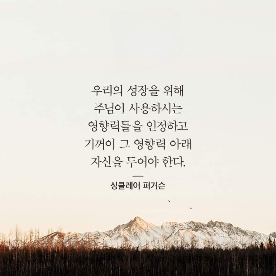6a3d269e274cc.jpg