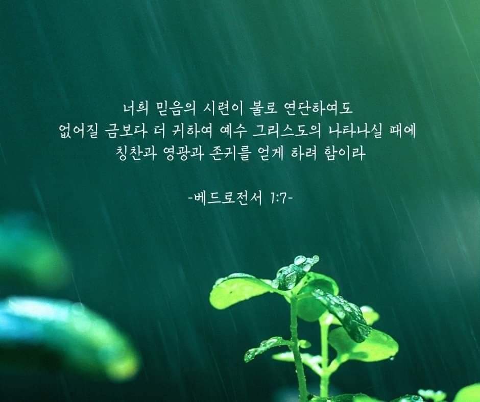 6b017a93c7032.jpg