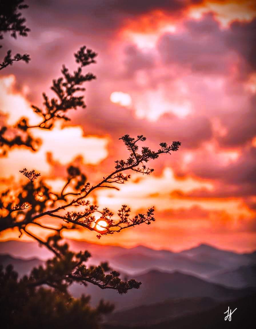 6d0e021df9ae9.jpg
