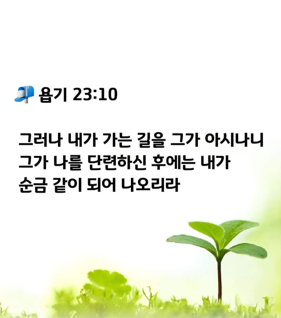 6e60b8465c002.jpg