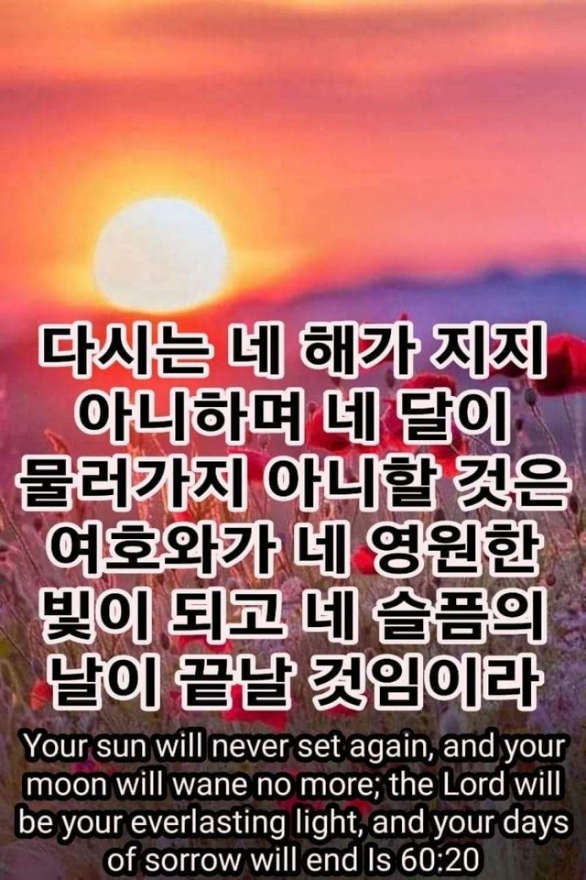 71077527e0ae4.jpg