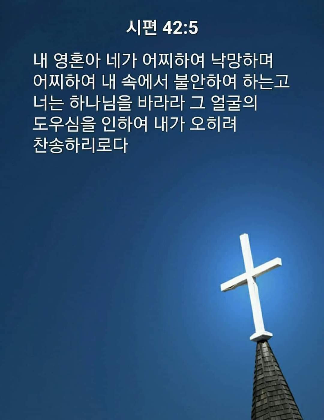 7158a1c81fa59.jpg